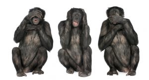 see no evil, hear no evil, speak no evil