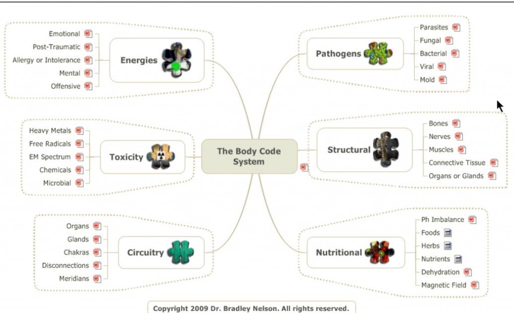 6 Major Categories of Underlying Imbalances in the Body Code