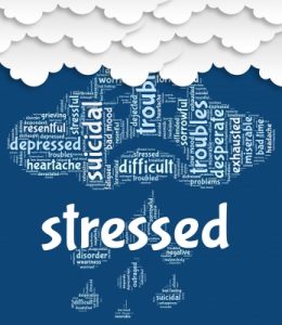 The effects of stress
